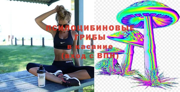 стафф Алзамай
