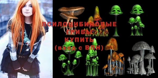 скорость Алексин