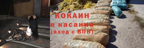 стафф Алзамай